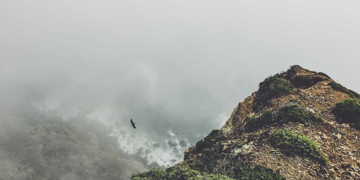 10 Branding Trends to Watch in 2025